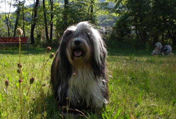 Daphne-Gedenken zum 14. Geburtsag1